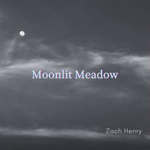 Moonlit Meadow