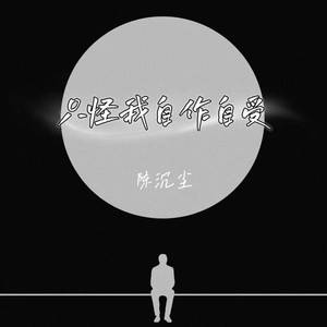 陈沉尘 - 只怪我自作自受