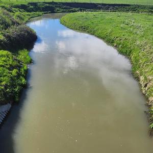 PACCIN' (feat. YVNG PERCOCET) (Explicit)