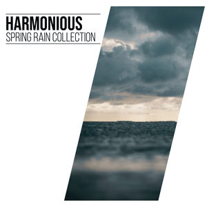 #15 Harmonious Spring Rain Collection