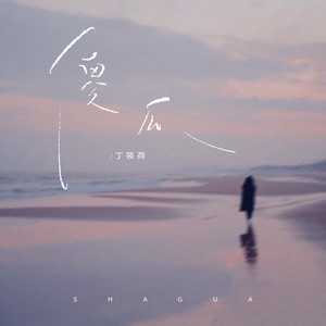 傻瓜