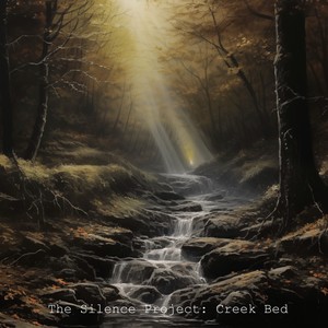 The Silence Project : Creek Bed