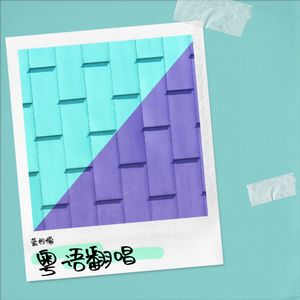 17岁 - 爱唱歌的阿华封面