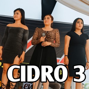 CiDRO 3