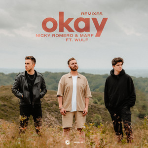 Okay (Stadiumx Remix)