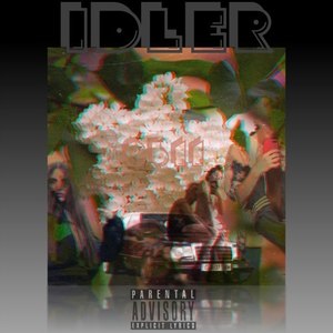 Idler