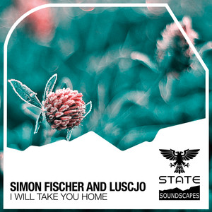 I Will Take You Home (Original Mix)