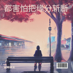 我敬岁月一杯茶