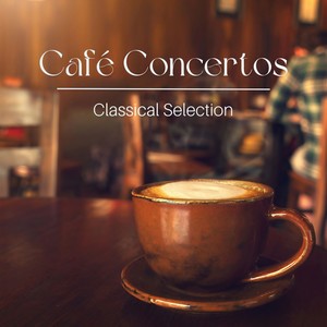 Concerto for Organ No. 4 in E Minor - III. Largo