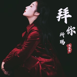 拜你所赐 (DJ名龙版)