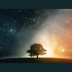 密码小海 - 欲放不忍 欲留不能