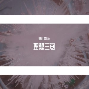 理想三旬(live)