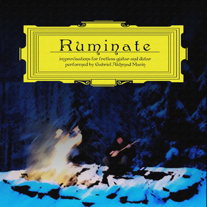 Ruminate: Improvisations for Fretless Guitar and Dutar