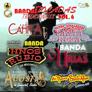 Bandas Tocadas Tradicionales Vol. 6