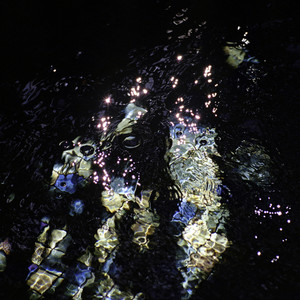 Vinny Golia - Can you outrun them? (You are not the Wil Wheaton that I know...)