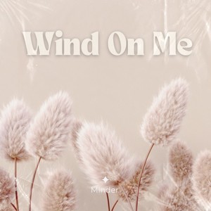 Wind on Me (Radio Edit)