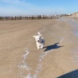 Just only a fact (Remix)