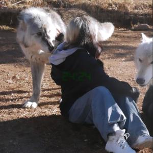 sneer (Explicit)