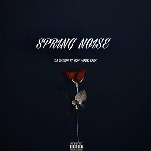 Spring Noise