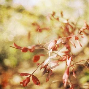 Simple Song (Single Version)