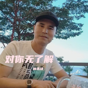 对你无了解 (伴奏)