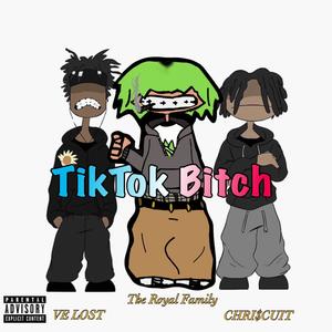 TikTok ***** (feat. VE Lost & The Royal Family) [Explicit]