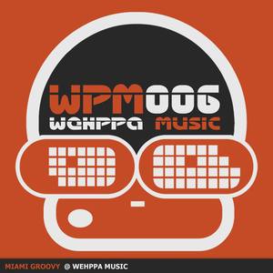 Southbound Train To Miami (Original Mix)