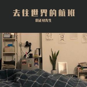 去往世界的航班