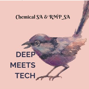 Deep Meets Tech