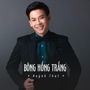 Bông Hồng Trắng