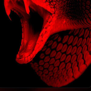 So Many Questions (feat. Hk Bandz) (Explicit)