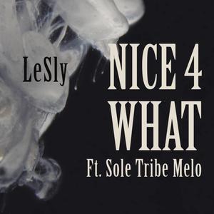 Nice 4 What (feat. Sole Tribe Melo) [Explicit]