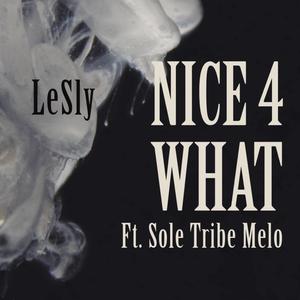Nice 4 What (feat. Sole Tribe Melo) (Explicit)