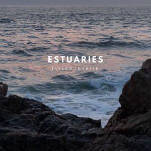 Estuaries