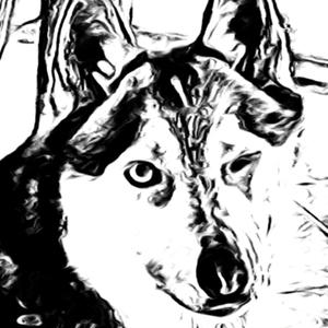 Freak demonstration (feat. Lukebtp)