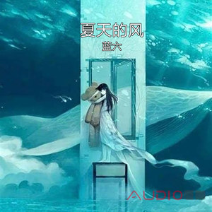 夏天的风