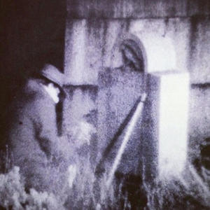 white pine (Explicit)