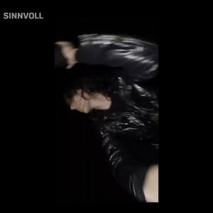 sinnvoll (Explicit)