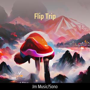 Flip Trip
