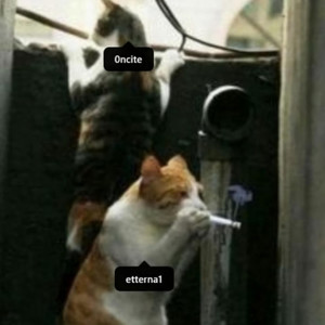 in the dust (Explicit)