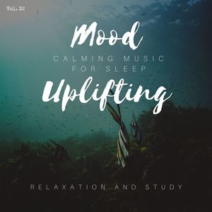 Mood Uplifting - Calming Music For Sleep, Relaxation And Study, Vol. 32