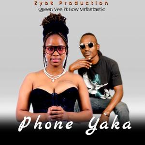 Phone Yaka (feat. Bow MrFantastic)