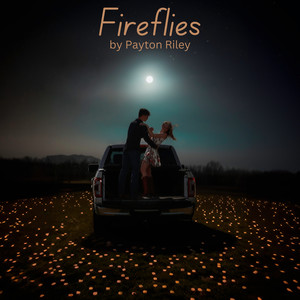 Fireflies