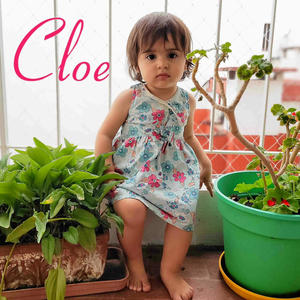 Cloe