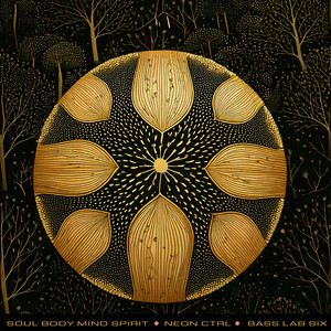 Soul Body Mind Spirit