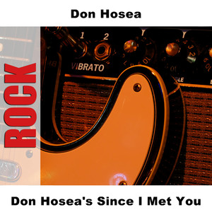 Don Hosea's Since I Met You