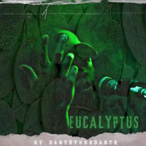 Eucalyptus