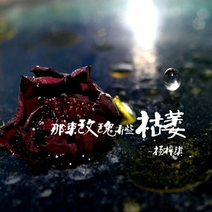 你终于失去了我