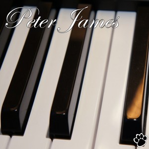 Say Something(Adagio)