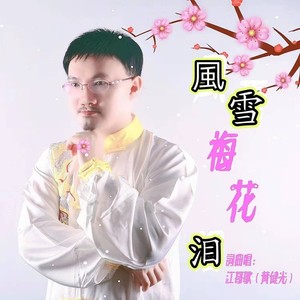风雪梅花泪
